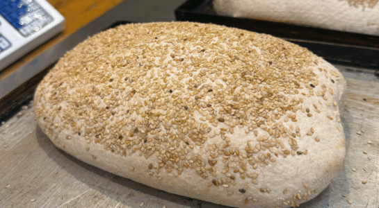 RACCONTI DAL GAGINI – EPISODIO 1: i lievitati